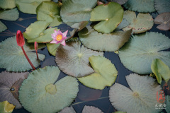 Photographer: Marcel Sauder Photography - sauder.ch