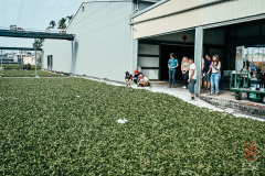 Photographer: Marcel Sauder Photography - sauder.ch