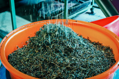 Photographer: Marcel Sauder Photography - sauder.ch