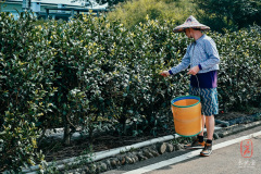 Photographer: Marcel Sauder Photography - sauder.ch