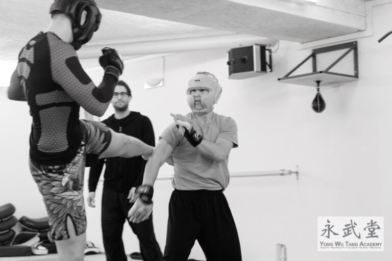 Wing Chun Kung Fu Sparring Session
